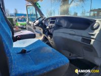 Iveco DAILY TELONATO | Altro Altro