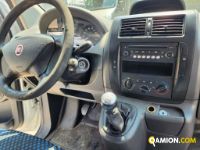 Fiat SCUDO usato | Altro Altro