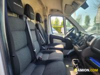 Fiat DUCATO Refrigerato | Altro Altro