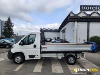 Citroen JUMPER cassone fisso | Altro Altro