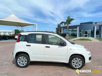 Fiat PANDA  | Altro Altro