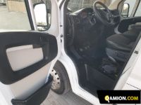 Fiat DUCATO DUCATO | Altro Altro