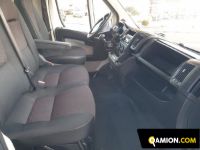 Fiat DUCATO DUCATO | Altro Altro