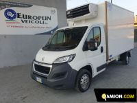 Fiat DUCATO DUCATO | Altro Altro