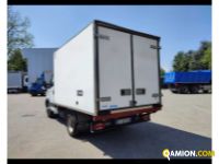 Iveco Daily 35 C11 FRIGO  Daily 35 C11 FRIGO  Altro | ATL SPA