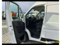 Fiat DUCATO - FURGONE DUCATO - FURGONE Altro | TENTORI