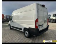Fiat DUCATO - FURGONE DUCATO - FURGONE Altro | TENTORI