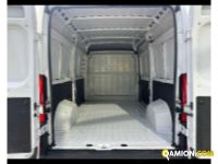 Fiat DUCATO - FURGONE DUCATO - FURGONE Altro | TENTORI
