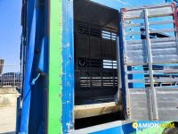 Iveco AS260S56Y/PS TRASPORTO ANIMALI AS260S56Y/PS TRASPORTO ANIMALI Altro | Milano Industrial S.P.A.