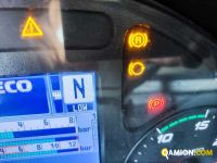 Iveco AS260S56Y/PS TRASPORTO ANIMALI AS260S56Y/PS TRASPORTO ANIMALI Altro | Milano Industrial S.P.A.