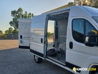 Fiat DUCATO DUCATO