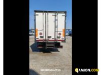 Iveco 65C15 65C15 | Medi Altro | GHEDAUTO Veicoli Industriali S.r.l.