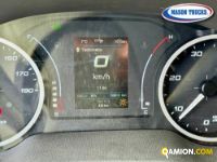 Iveco DAILY 35C16 DAILY 35C16 | Mason Trucks