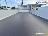 Iveco DAILY 35C16H 3.0 | Mason Trucks