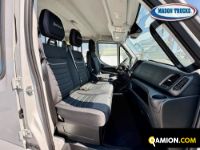 Iveco DAILY 35C16H 3.0 | Mason Trucks