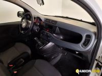 Fiat PANDA panda