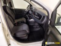 Fiat PANDA panda
