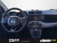 Fiat Panda III Panda van 1.0 hybrid Street 70cv 4p.ti serie 4 E6d | Altro Altro