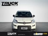 Fiat Panda III Panda van 1.0 hybrid Street 70cv 4p.ti serie 4 E6d | Altro Altro