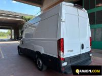 Iveco DAILY 35S16 DAILY 35S16 | Altro Altro | USED TRUCK S.R.L.