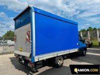 Iveco DAILY 35C16 DAILY 35C16 | Altro Altro | USED TRUCK S.R.L.