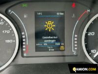 Iveco DAILY 35C14 DAILY 35C14 | USED TRUCK S.R.L.