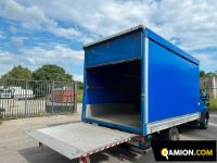 Iveco DAILY 35C16 DAILY 35C16 | Altro Altro | USED TRUCK S.R.L.