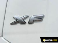 Daf XF 480 FAN XF 480 FAN | Altro Altro