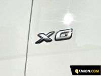 Daf XG 480 FT XG 480 FT | Altro Altro