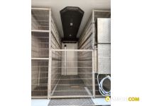 Peugeot BOXER boxer 435hdi