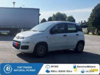 Fiat PANDA panda | BEDIN ALBERTO