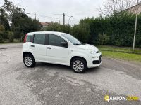 Fiat PANDA panda | BEDIN ALBERTO
