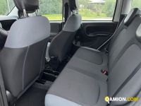Fiat PANDA panda | BEDIN ALBERTO