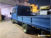 Iveco DAILY daily 35c13 | AUTOCARRI FIORE LUIGI