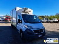Fiat DUCATO DUCATO | Altro Isotermico / coibentato | Borgo Agnello S.p.A.