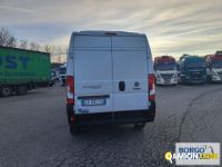 Fiat DUCATO DUCATO | Altro Isotermico / coibentato | Borgo Agnello S.p.A.