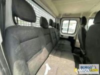 Fiat DUCATO DUCATO | Altro Cassone fisso | Borgo Agnello S.p.A.