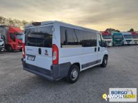 Fiat DUCATO DUCATO | Bus Minibus | Borgo Agnello S.p.A.