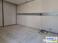 Iveco DAILY 50C15 DAILY 50C15 | Motrice Isotermico / coibentato | Borgo Agnello S.p.A.