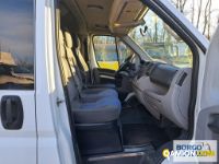 Fiat DUCATO DUCATO | Bus Minibus | Borgo Agnello S.p.A.