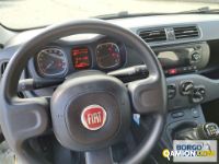 Fiat PANDA PANDA | Automobile Automobile | Borgo Agnello S.p.A.