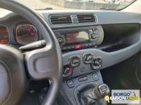Fiat PANDA PANDA | Automobile Automobile | Borgo Agnello S.p.A.