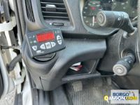 Iveco DAILY 65C15 DAILY 65C15 | Motrice Isotermico / coibentato | Borgo Agnello S.p.A.