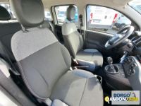 Fiat PANDA PANDA | Automobile Automobile | Borgo Agnello S.p.A.