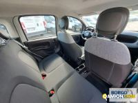 Fiat PANDA PANDA | Automobile Automobile | Borgo Agnello S.p.A.