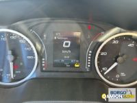 Iveco DAILY 35C14 DAILY 35C14 | Leggero Furgone > 35 q.li Altro | Borgo Agnello S.p.A.