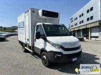 Iveco DAILY 65C15 DAILY 65C15 | Motrice Isotermico / coibentato | Borgo Agnello S.p.A.