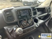 Fiat DUCATO DUCATO | Leggero Furgone > 35 q.li Altro | Borgo Agnello S.p.A.