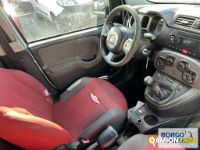 Fiat PANDA PANDA | Leggero Furgone > 35 q.li Altro | Borgo Agnello S.p.A.