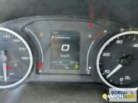 Iveco DAILY 35C14 DAILY 35C14 | Mezzi d'opera / mezzi da cantiere Altro | Borgo Agnello S.p.A.